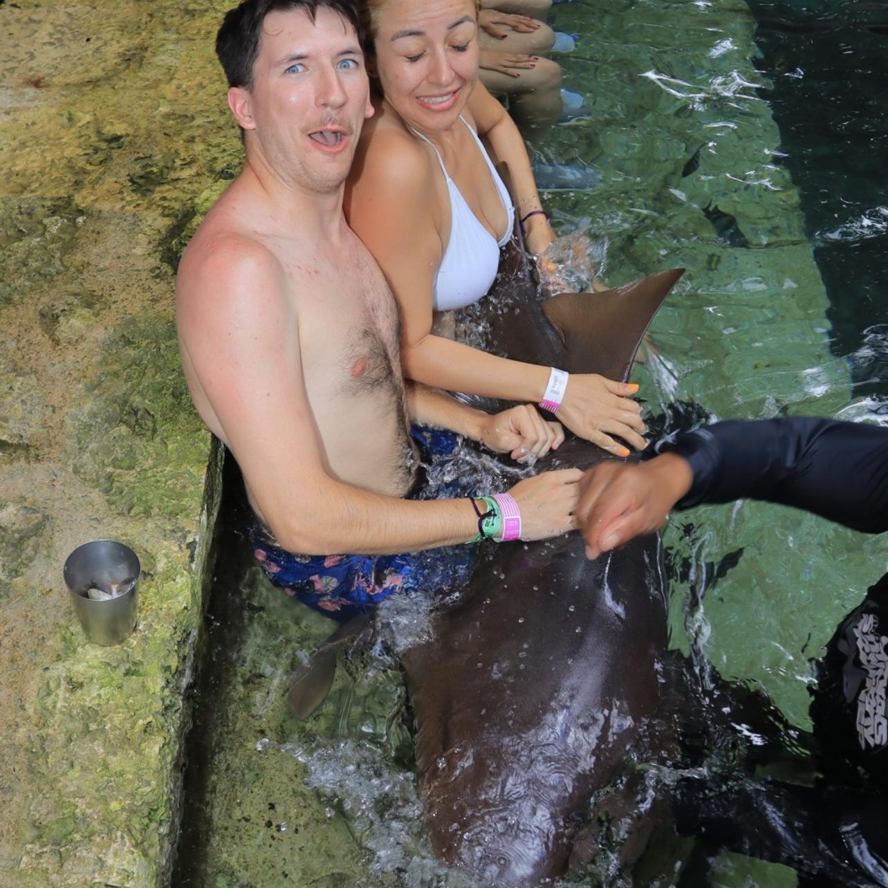 Swimming with nursing sharks in Cancun, MEX