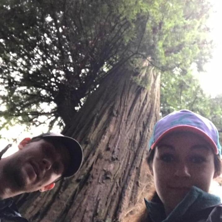 January 2, 2017
Redwood National Forest