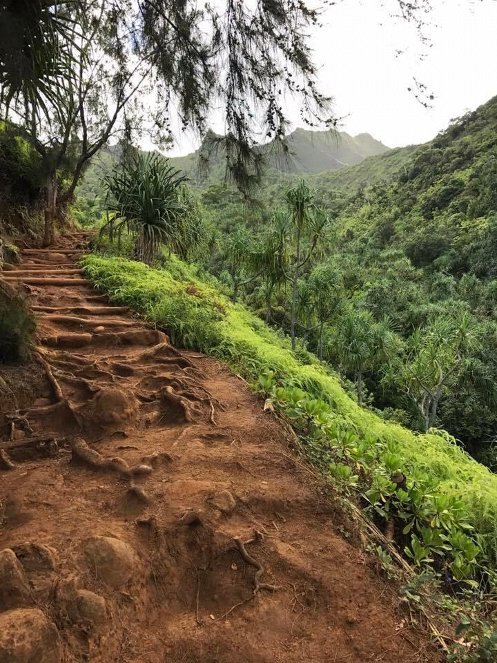 Where the proposal took place! Kalalau Falls Trail in Kauai, Hawaii.