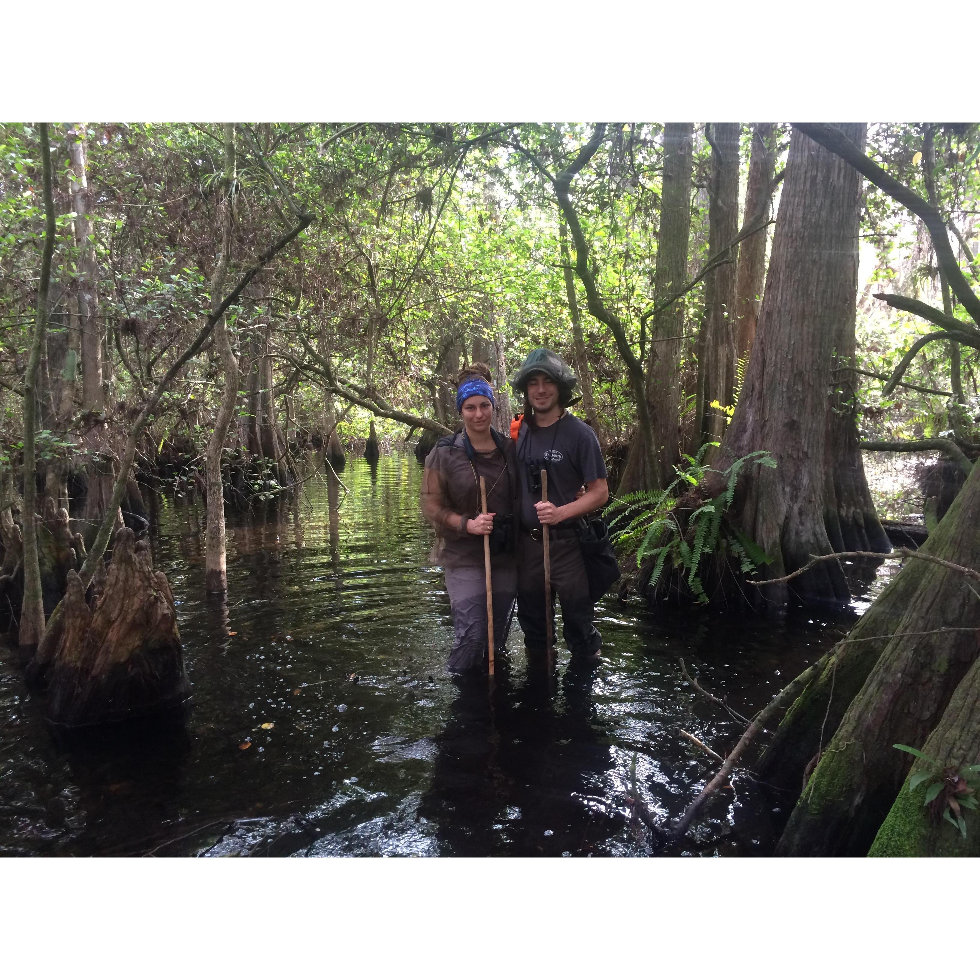 Hiking in the Everglades, 2016