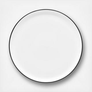 ColorTex Dinner Plate