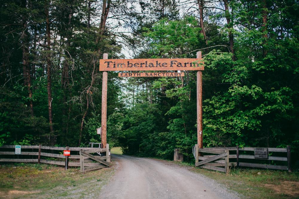 The Wedding Website of Elizabeth Tate and Andy Bratton