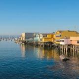 Old Fisherman's Wharf