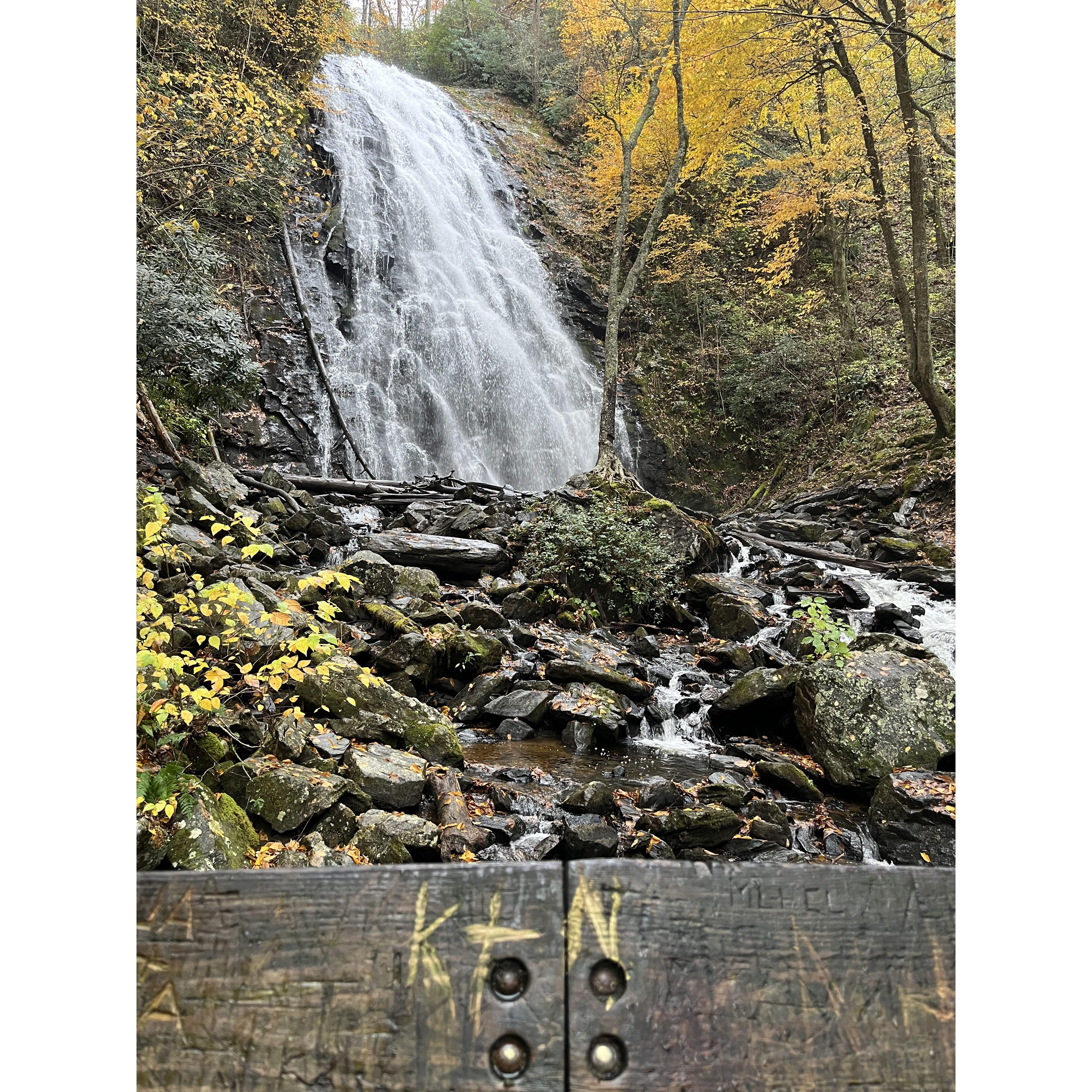 A hike in Ashville, North Carolina. We carved our initials in the wood because we're corny like that!