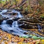 Falling Waters Preserve