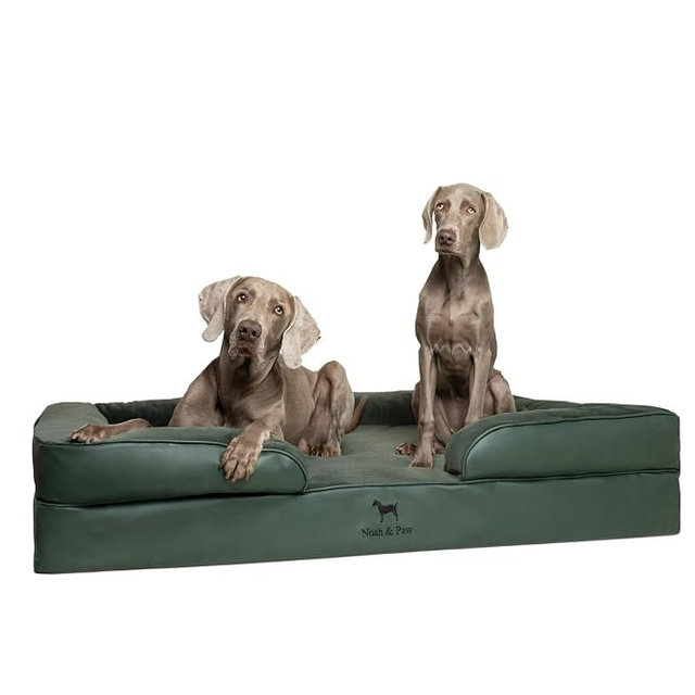 NOAH & PAW Giant Dog Bed XXL, 55x45x11 Inch, Orthopedic Dog Beds, Eggshell Memory Foam Infused with Cooling Gel, Inner Cover, Water Resistant, Machine Washable (Faux Leather)