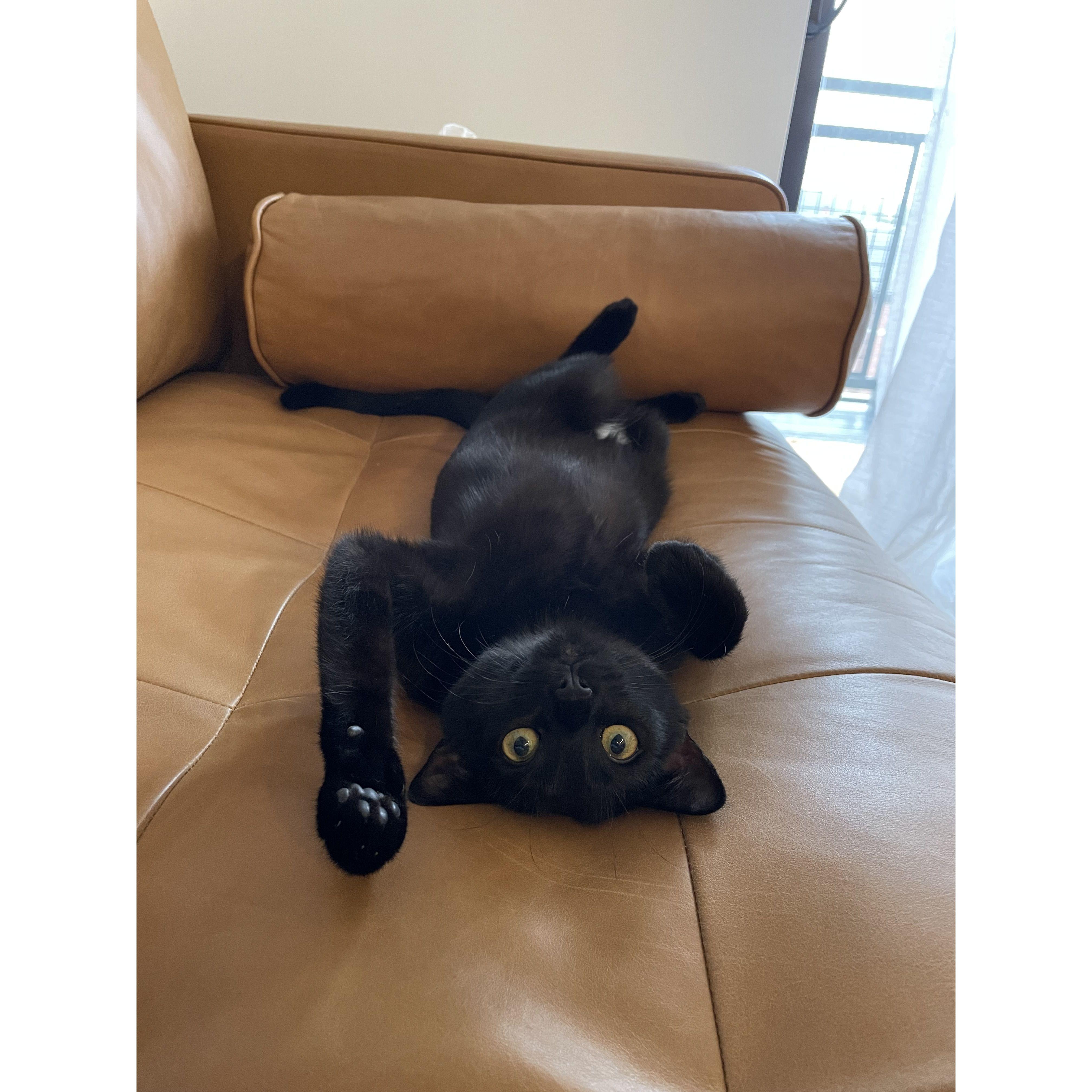 Dany says hi
