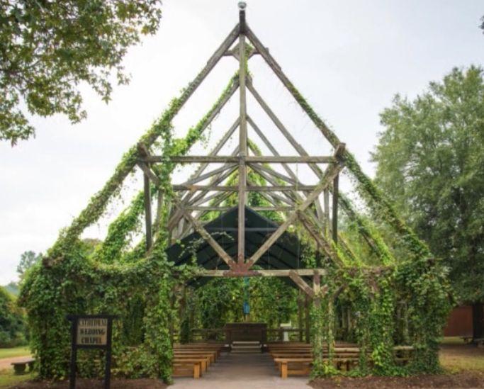 The Wedding Website of Stephanie Conley and Jeremy Meadows