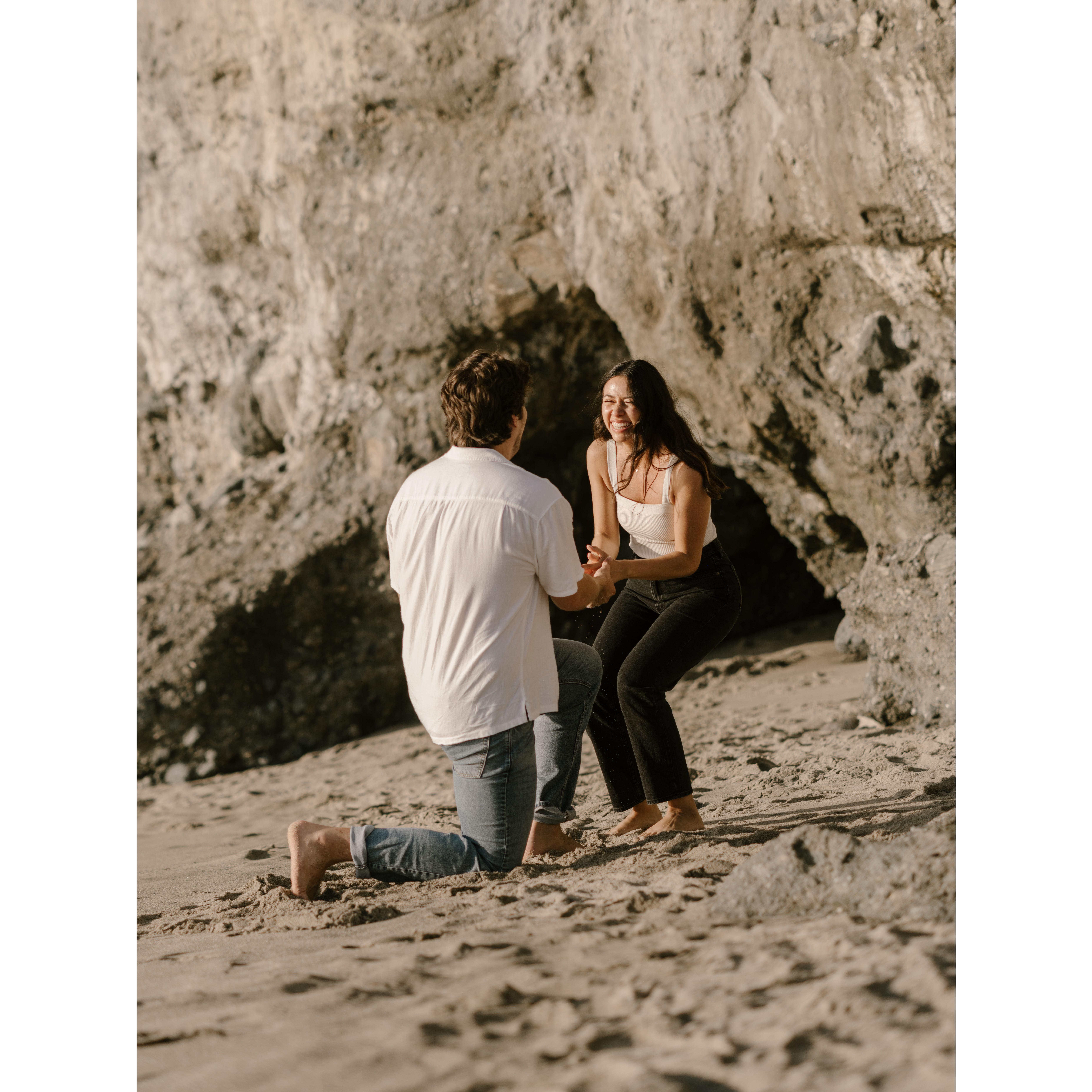 She said "YES" (Before he could even ask!)