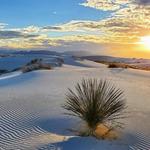 White Sands National Park