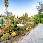San Diego Botanic Garden