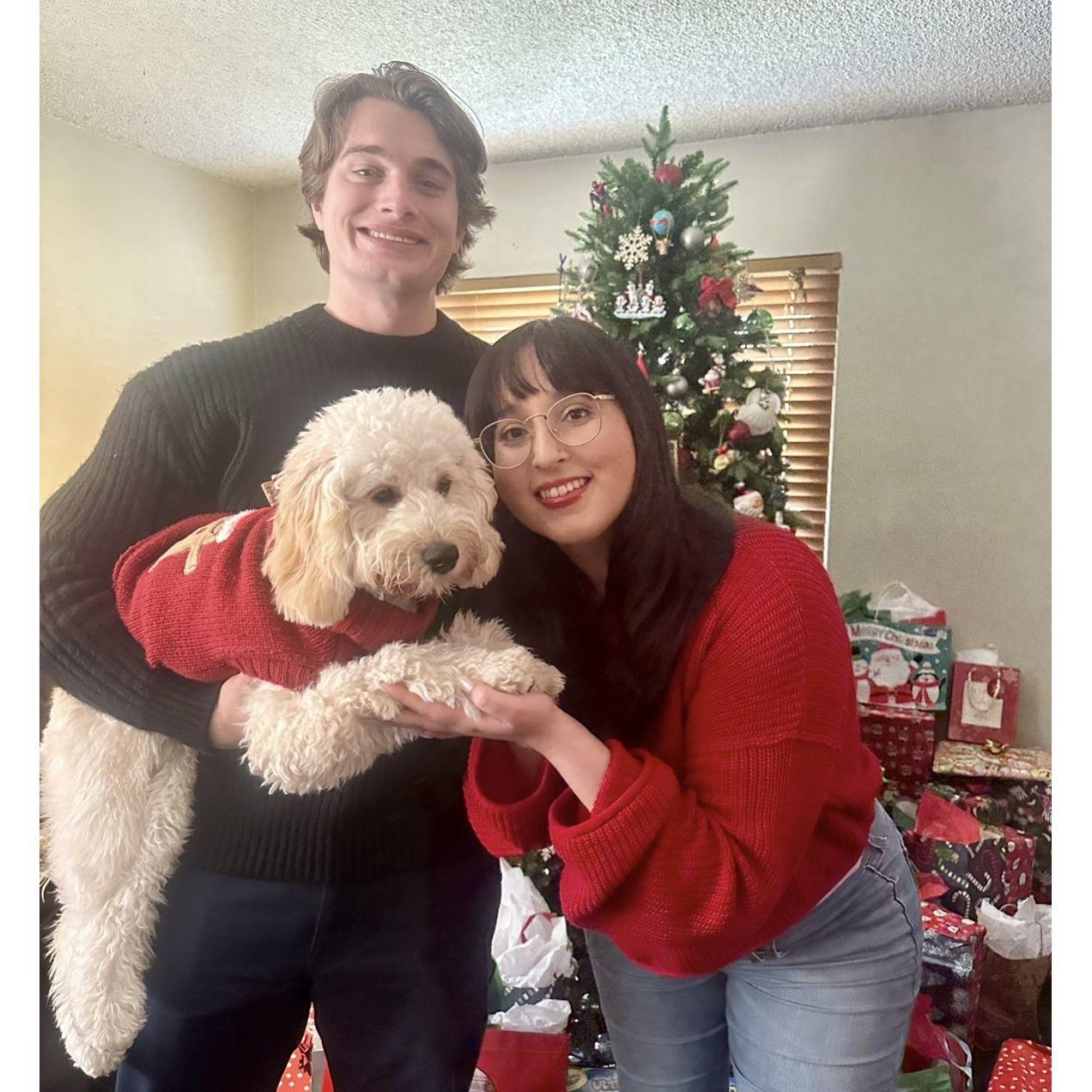 1st Christmas with our growing (pet) family.