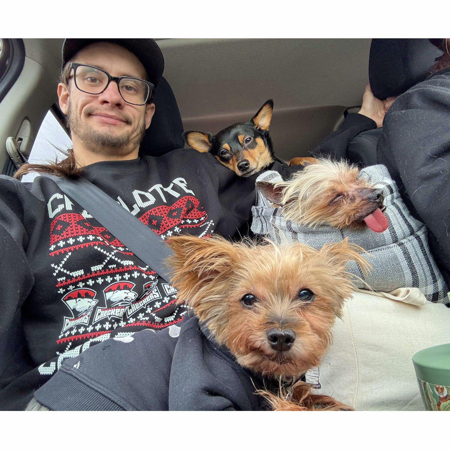 ...to our crazy car rides with the pups...