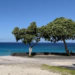Manini'owali Beach (Kua Bay)