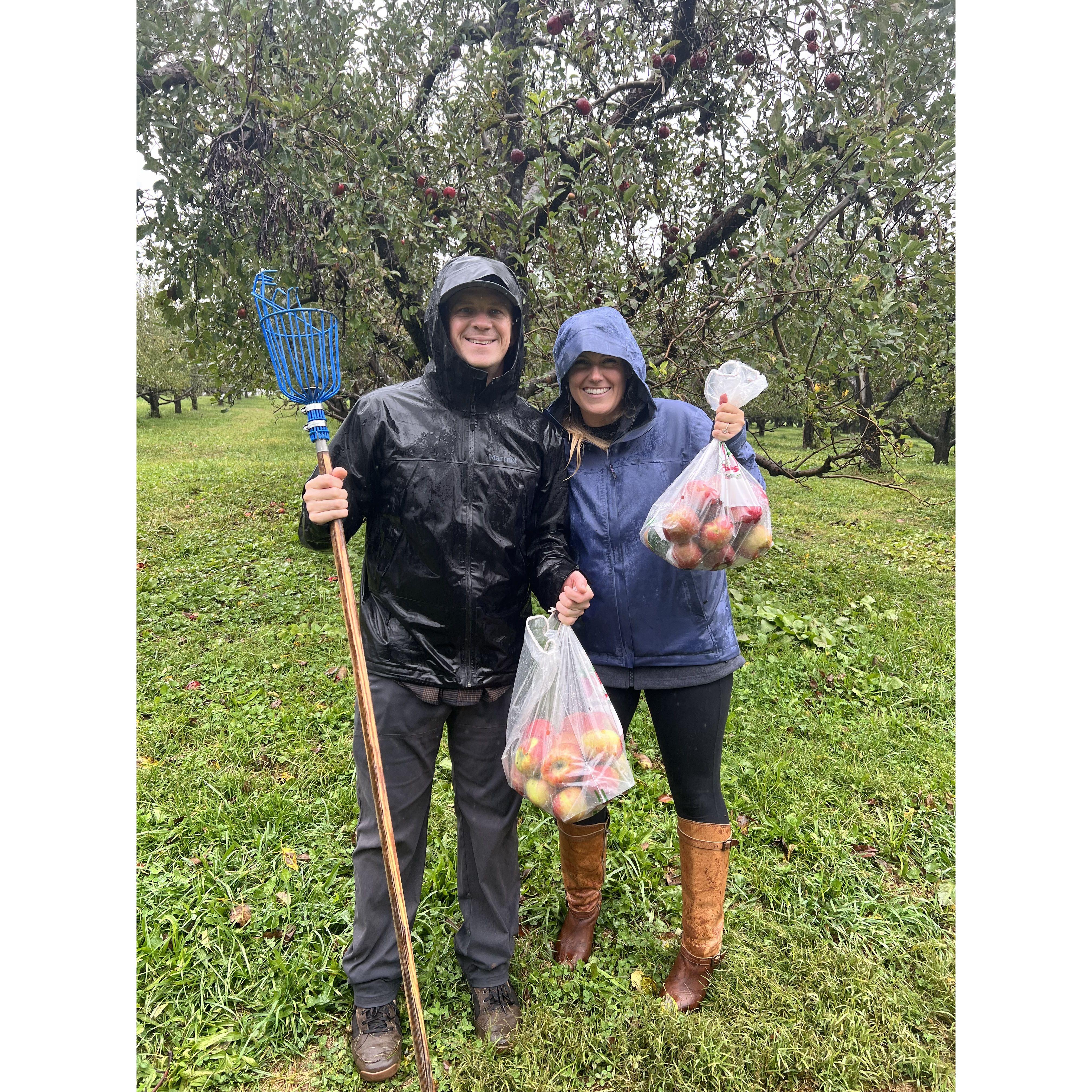 Apple picking in the rain