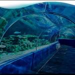 Vgp Marine Kingdom