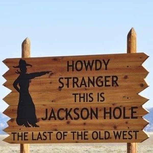Our Honeymoon Fund- Jackson Hole, Wyoming ❄️🐃