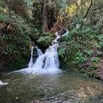 Cataract Falls Trail