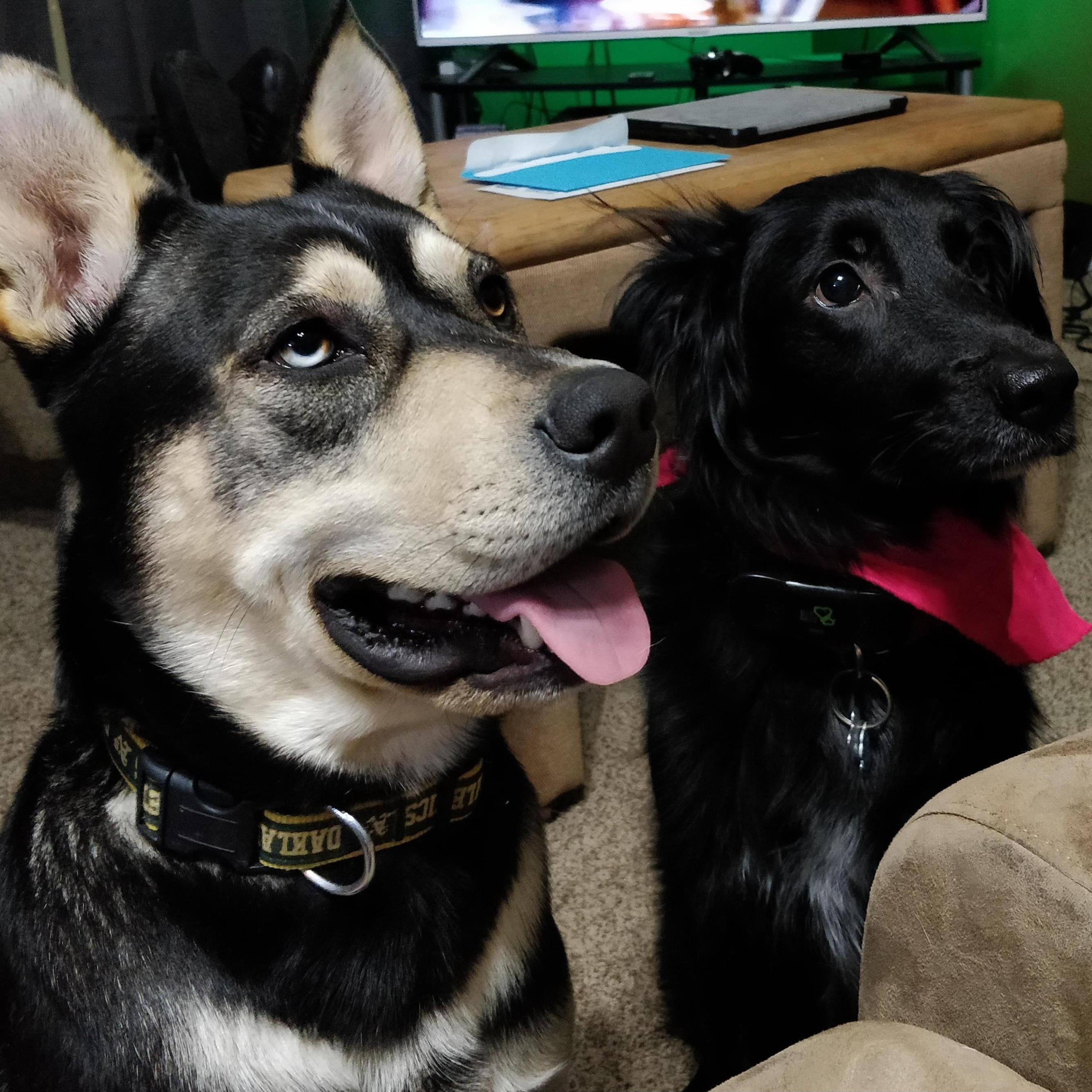 Ares (left) and Mira (right)