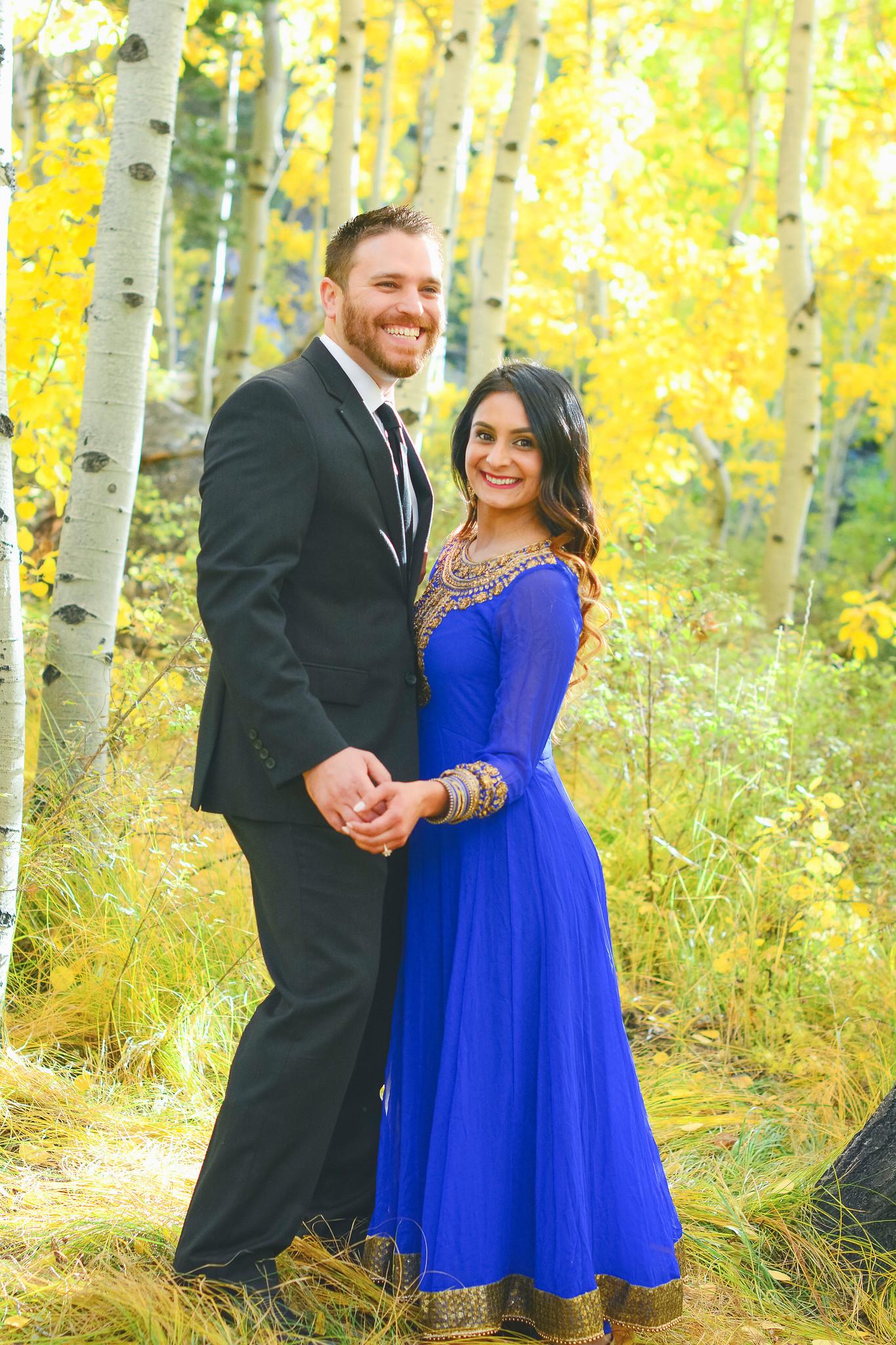 The Wedding Website of Mike Daniels and Meena Bassi