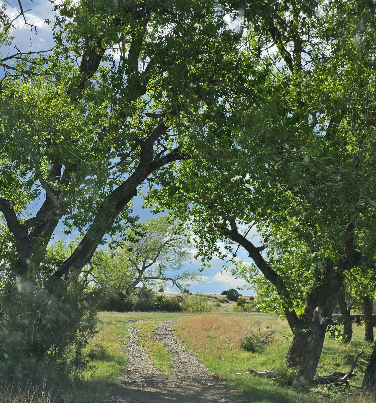 The Wedding Website of Alyssa Sepulveda and Patrick Marquez