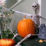 Half Moon Bay Art and Pumpkin Festival