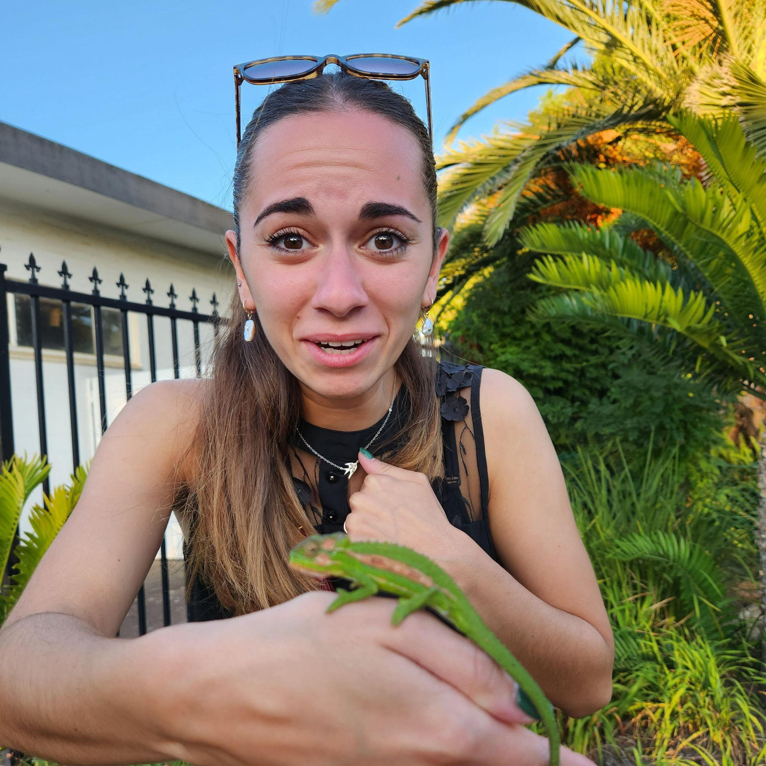 I heard South Africa has beautiful wildlife