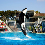 SeaWorld San Diego