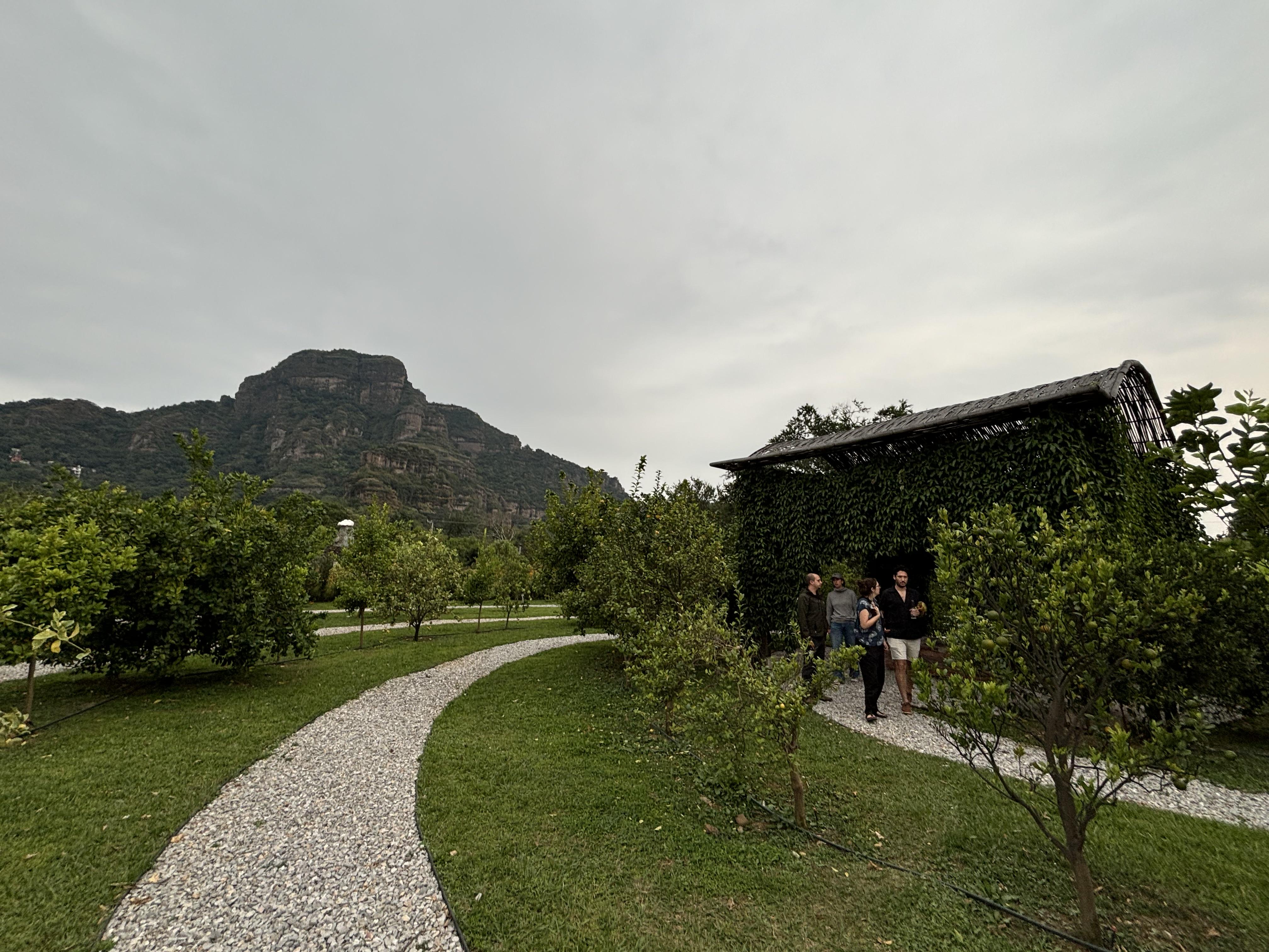 The Wedding Website of Clara Rowe and Andreas Casar
