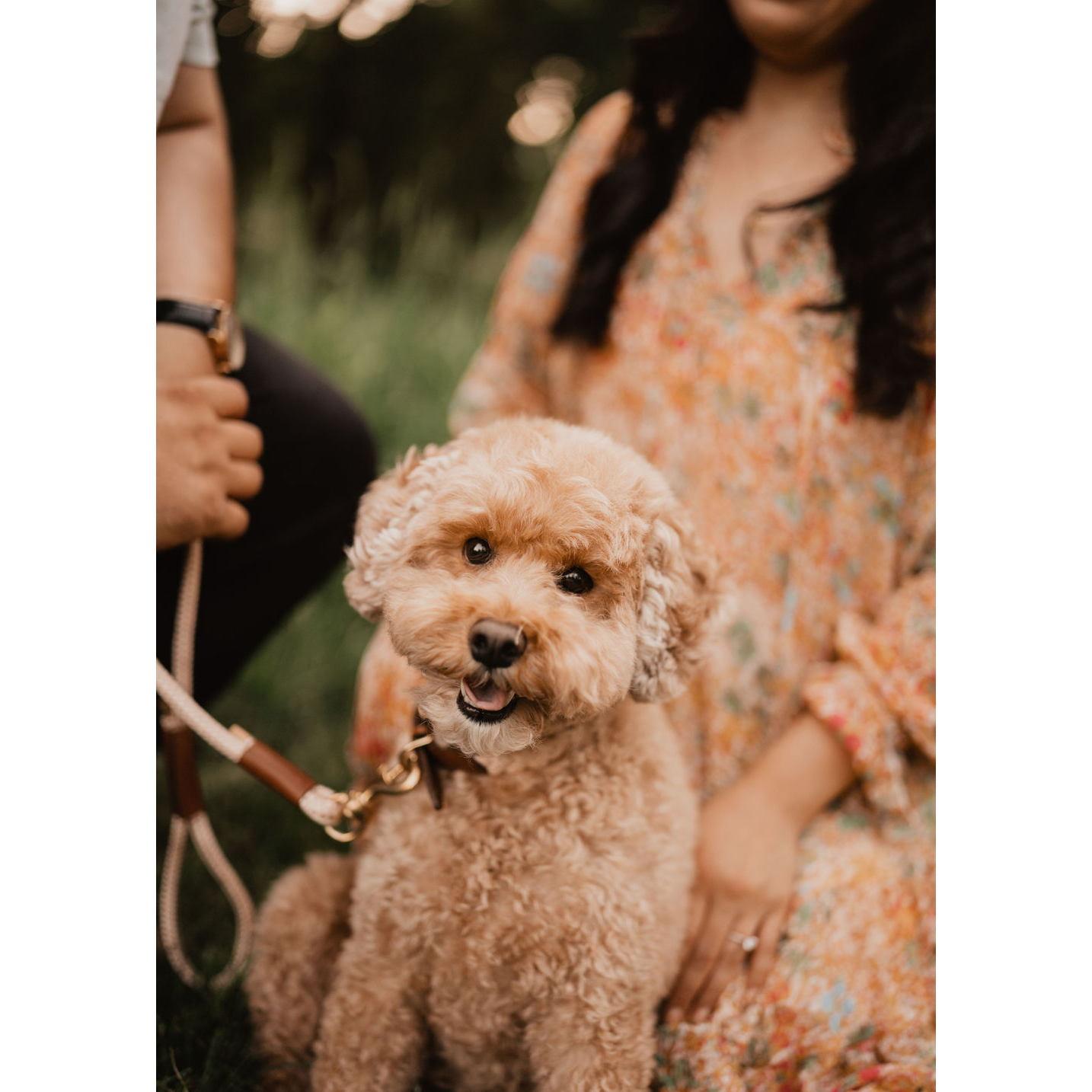 Photo credit @roseandrangephoto