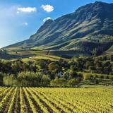 Stellenbosch
