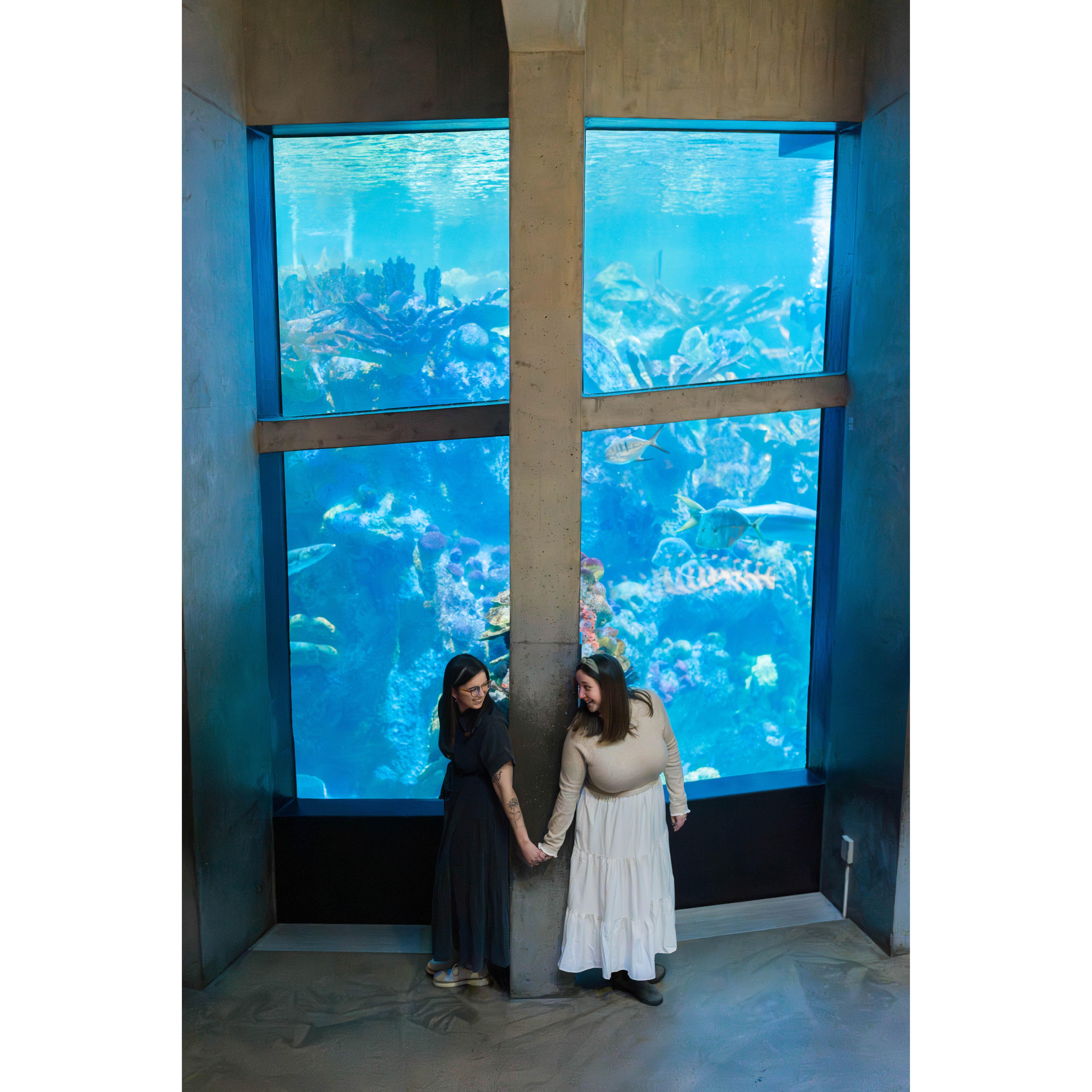 Engagement photos: more fish!