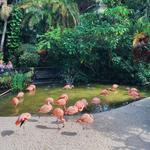Sunken Gardens