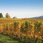 Chehalem Winery Tasting Room & Wine Bar