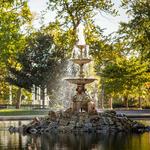 Tower Grove Park
