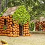 Cheekwood Garden & Historic Estate