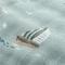 Sailing Seas