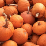Arata Pumpkin Farm