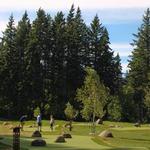 Little Eagle 18