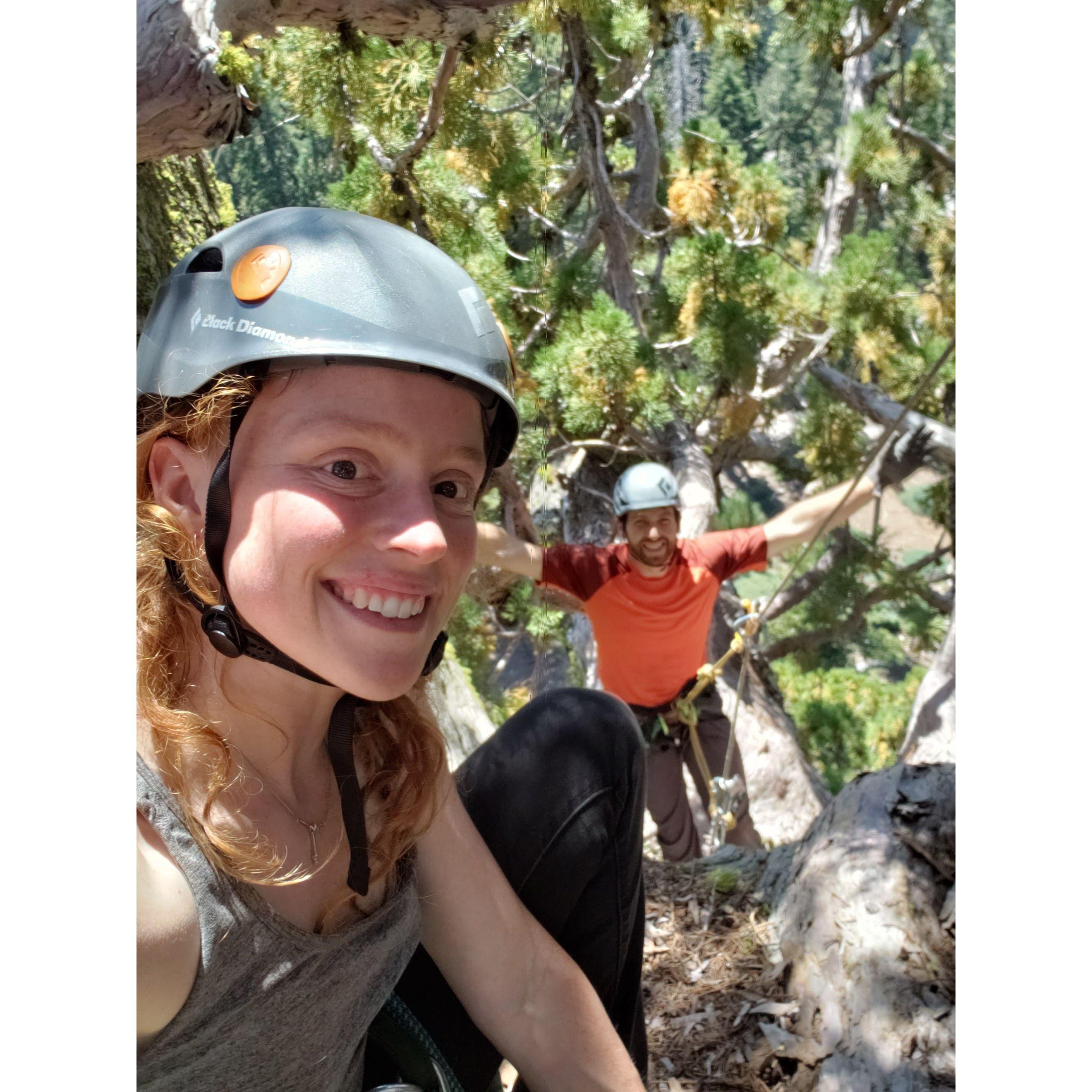 Climbing in the Giant Sequoias--here we are in the canopy of the 8th largest tree in the world. 
