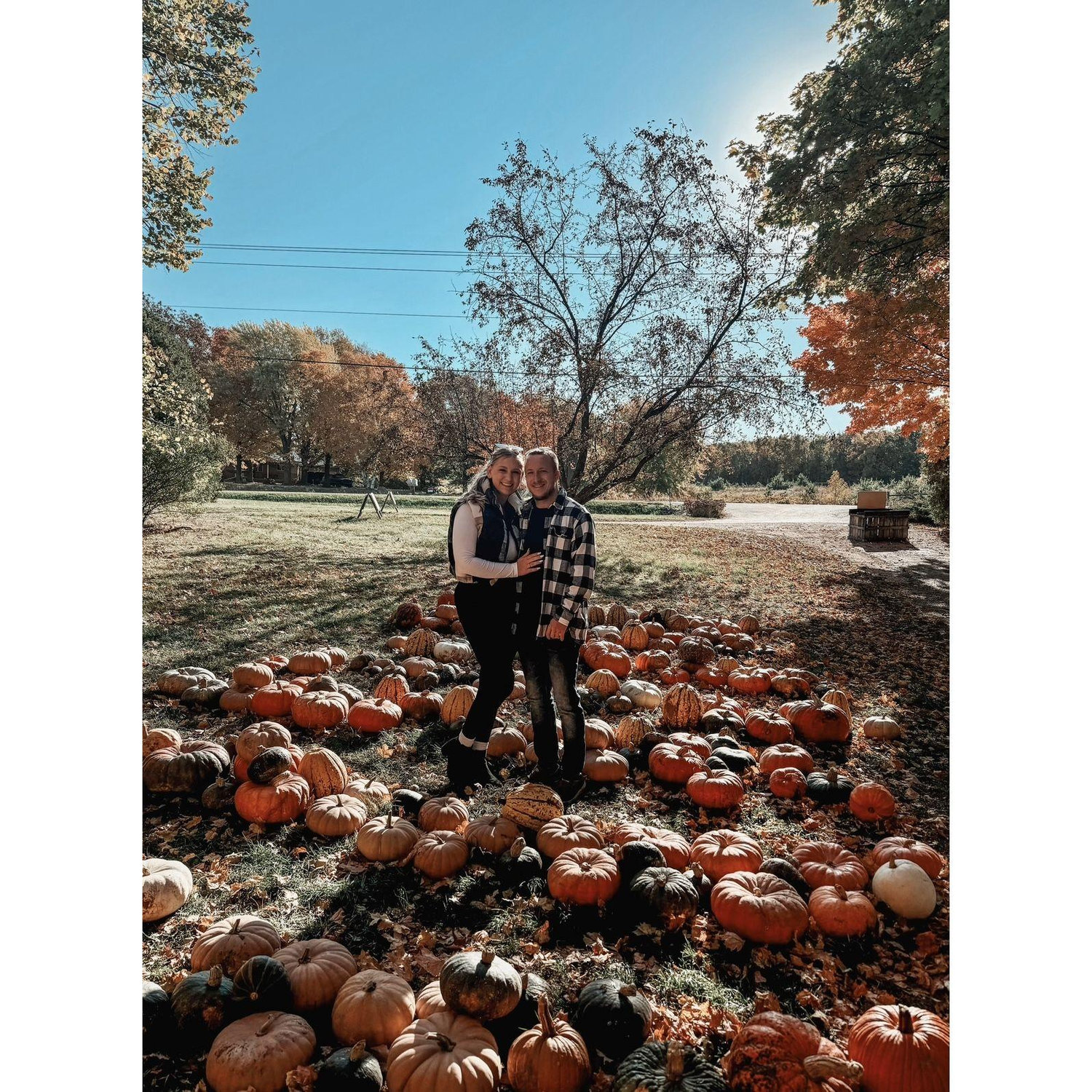 October 2024