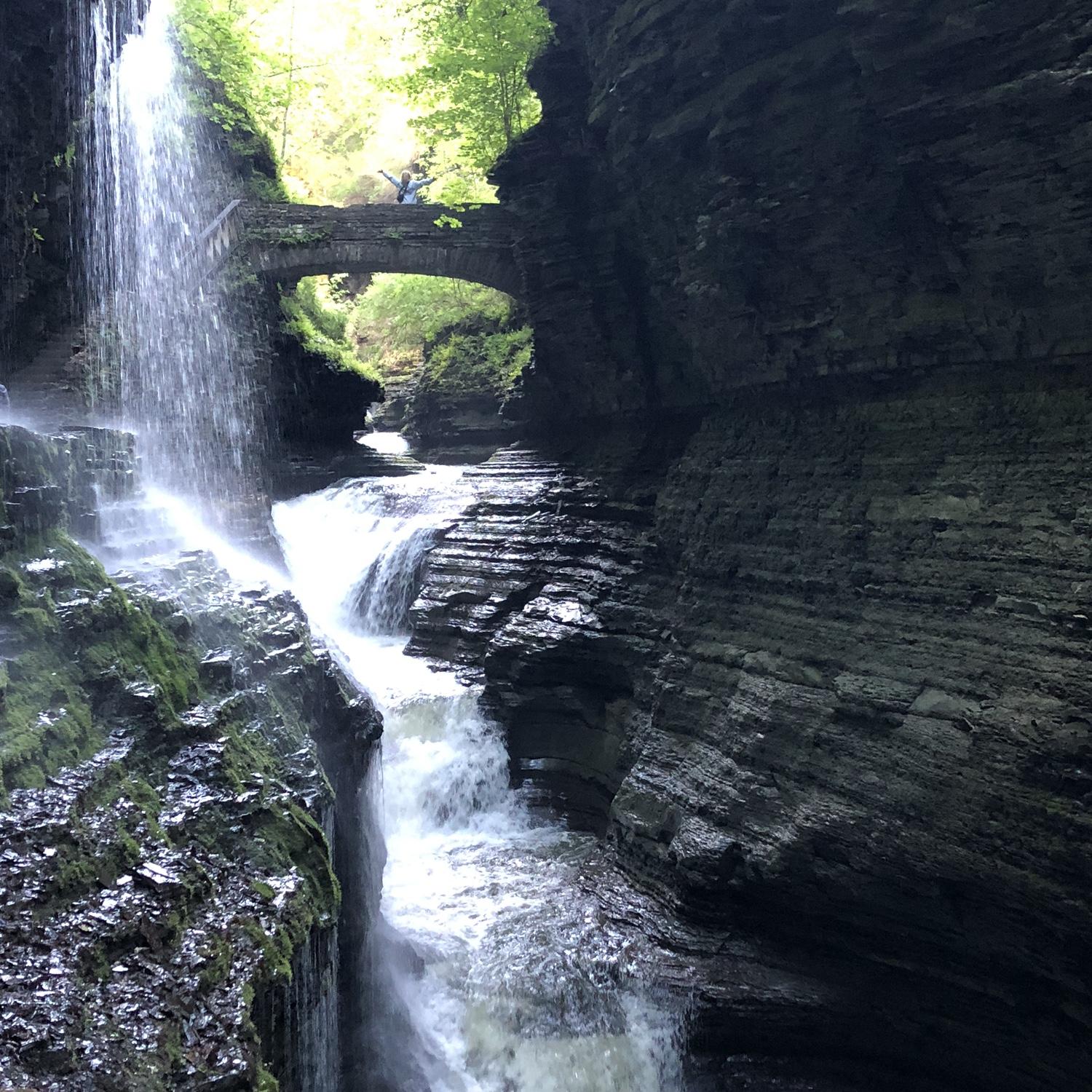 Rainbow Falls at Watkin's Glenn State Park where we got engaged