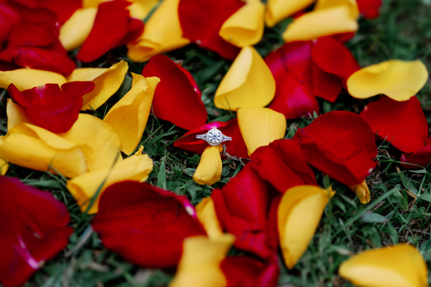 The Wedding Website of Jacquelyn Mills and Nicholas Abbott