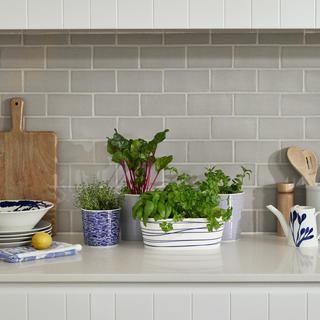 Pacific Trough Planter