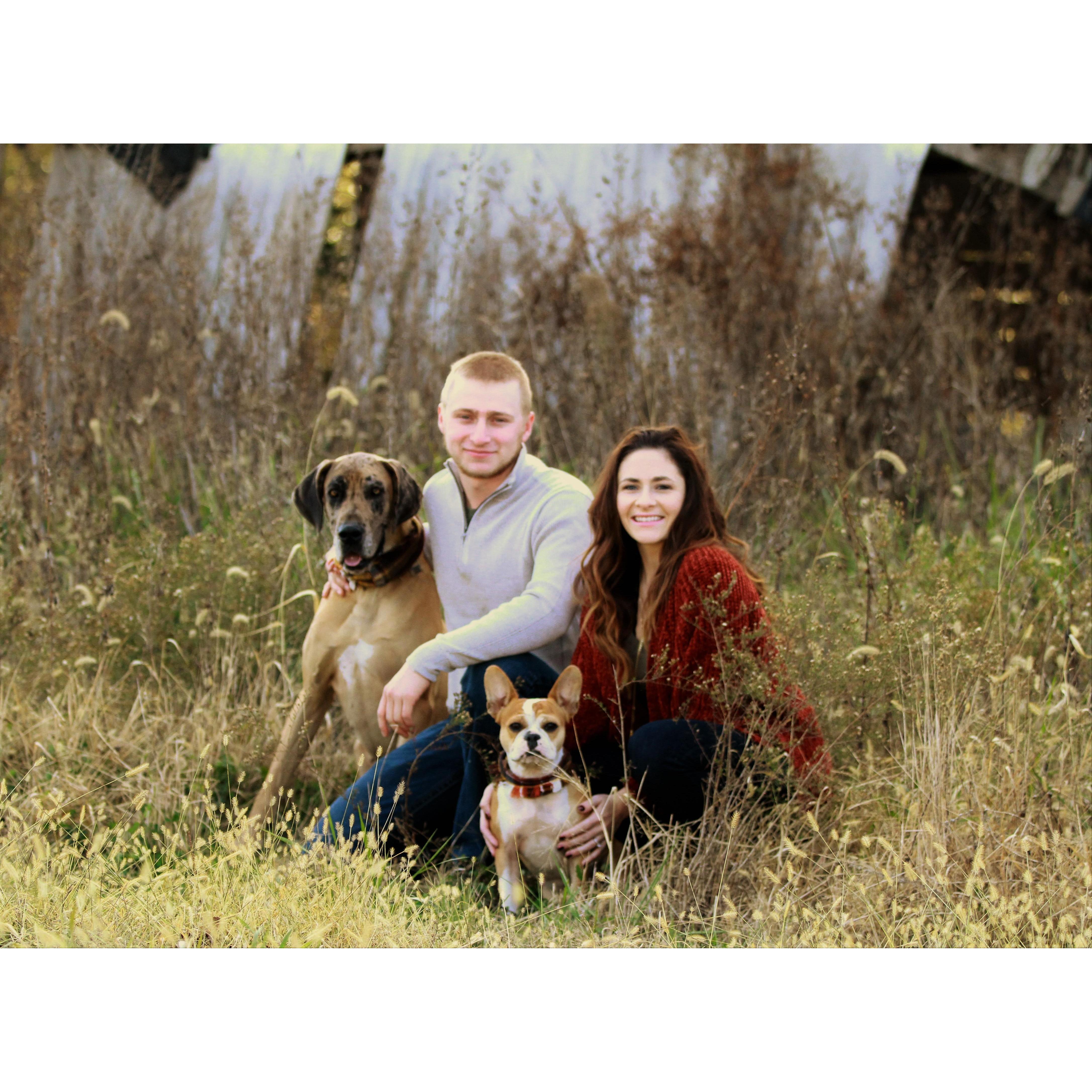 One of our favorites with our dogs!