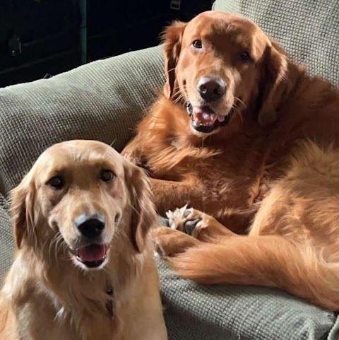 Bonus cute pic of Stormy and Thunder