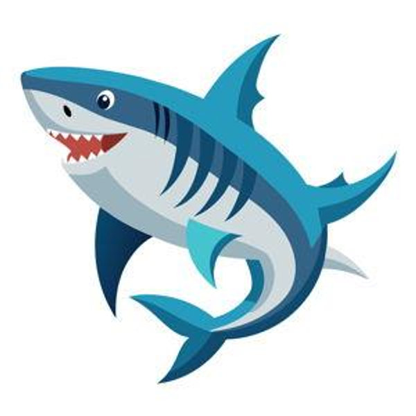 Cagediving with the Great White Shark
