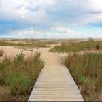 Flag Ponds Nature Park