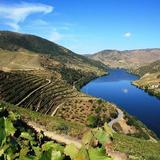 Douro Valley Wine Tours