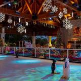 Ice Skating  @ the Charleston Harbor Resort & Marina Lookout Pavilion